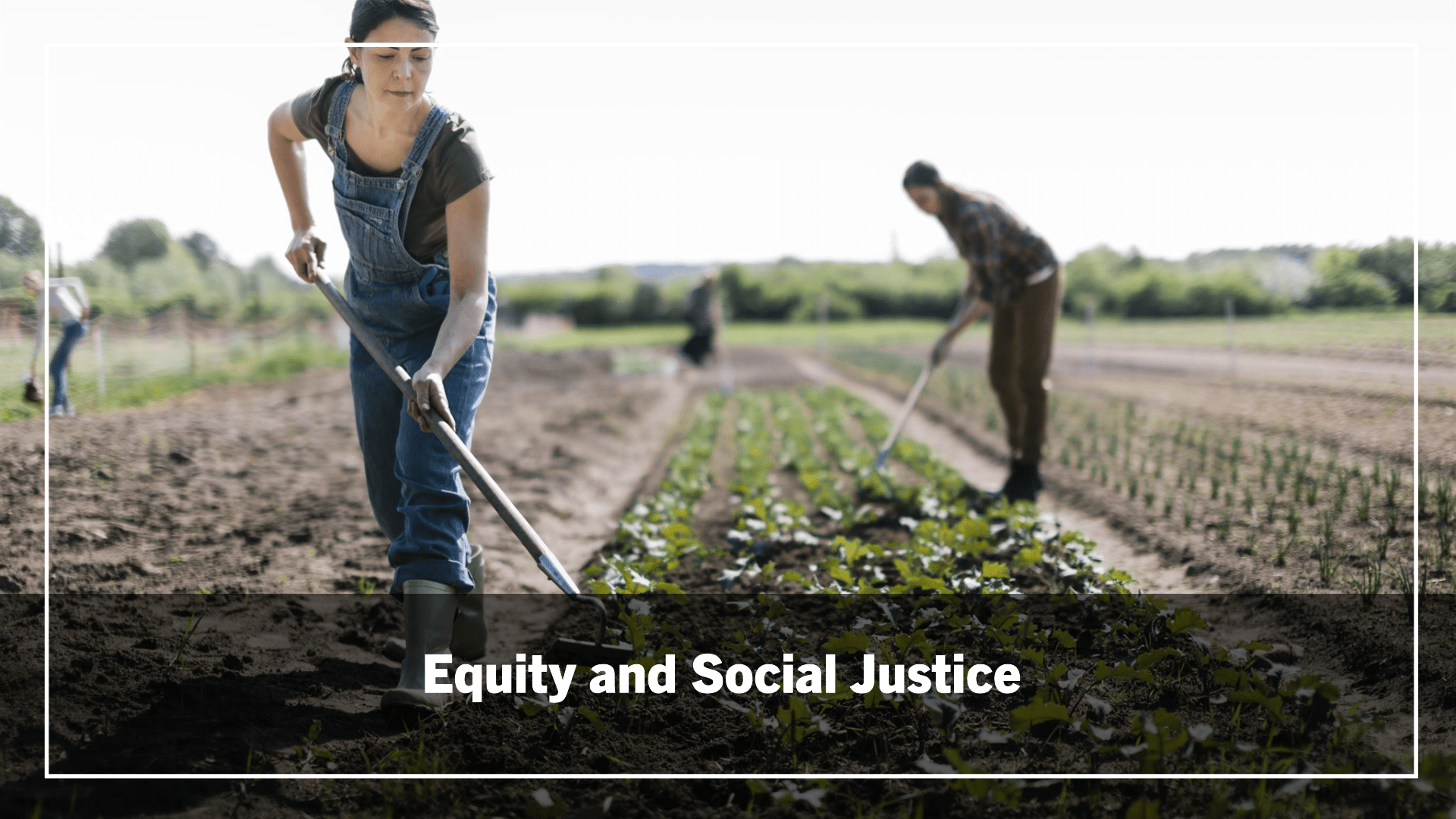 Equity and Social Justice Considerations